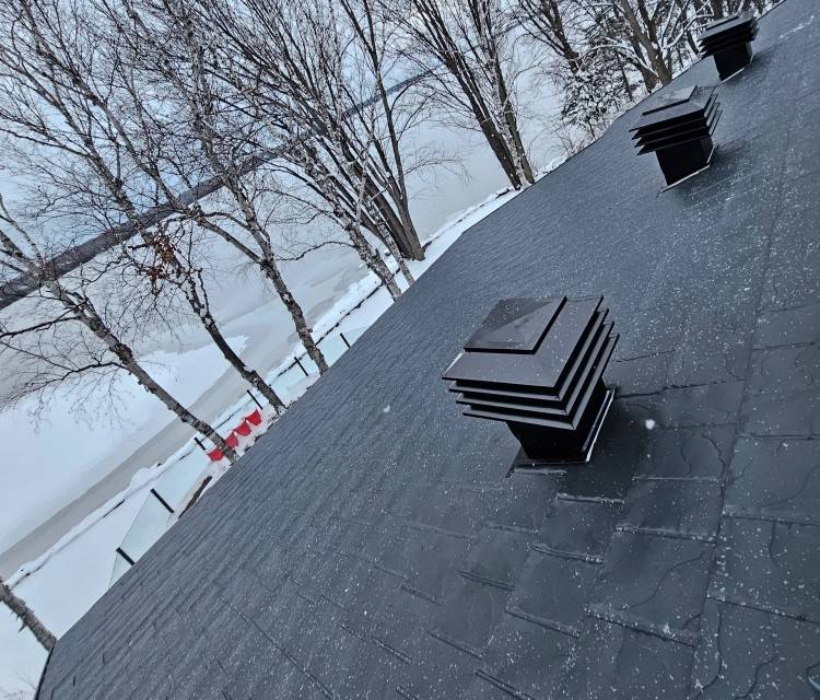 Expert roofing solutions tailored to your home