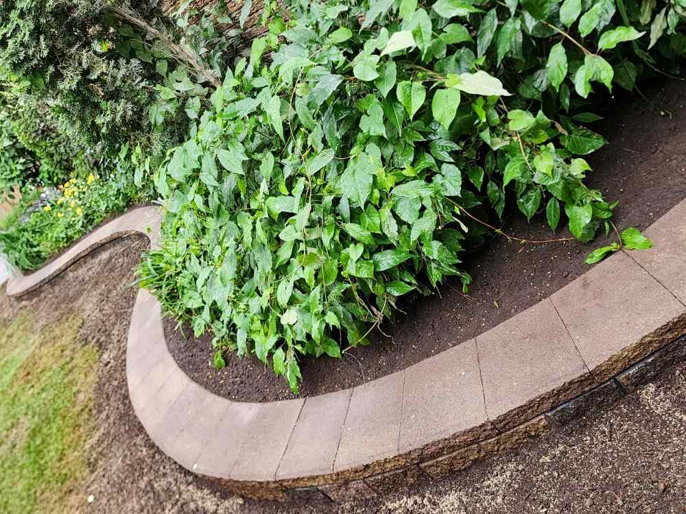 From modern stone patios to lush garden landscapes